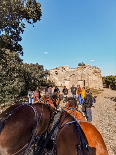 Chevaux et participants devant les vestiges d'une église