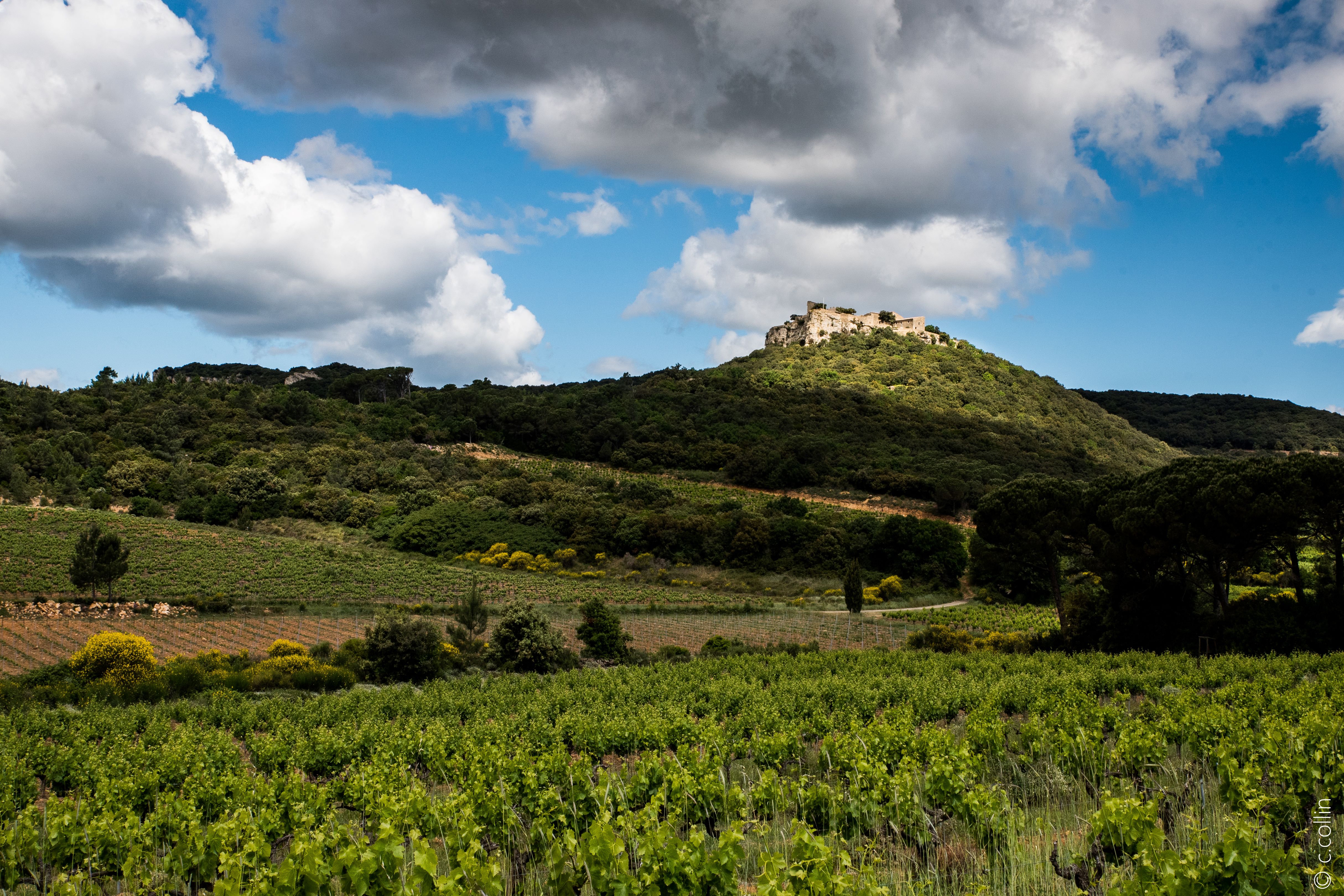 Château de Gicon - vue d'ensemble