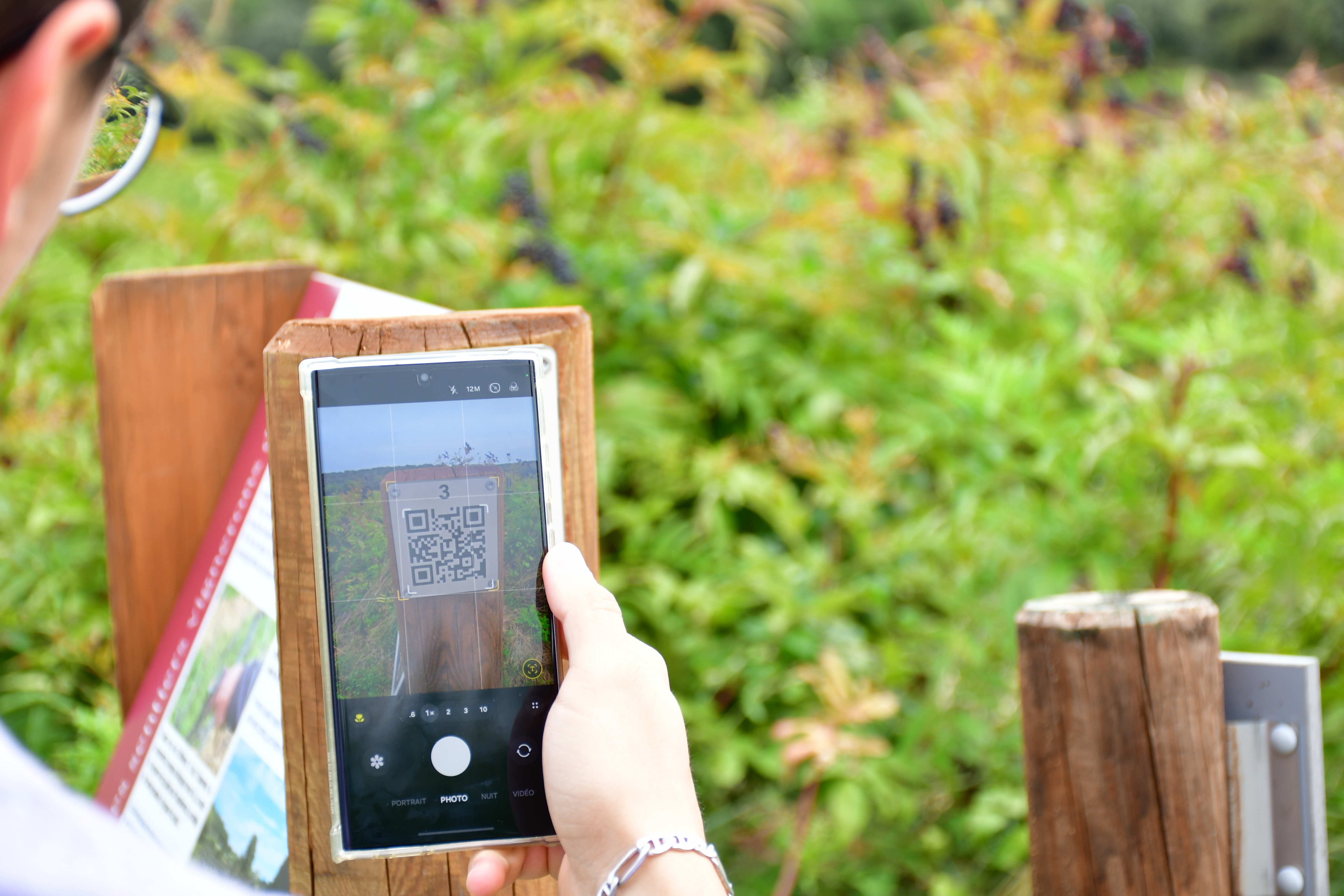 Enquête dans les vignes_Lirac