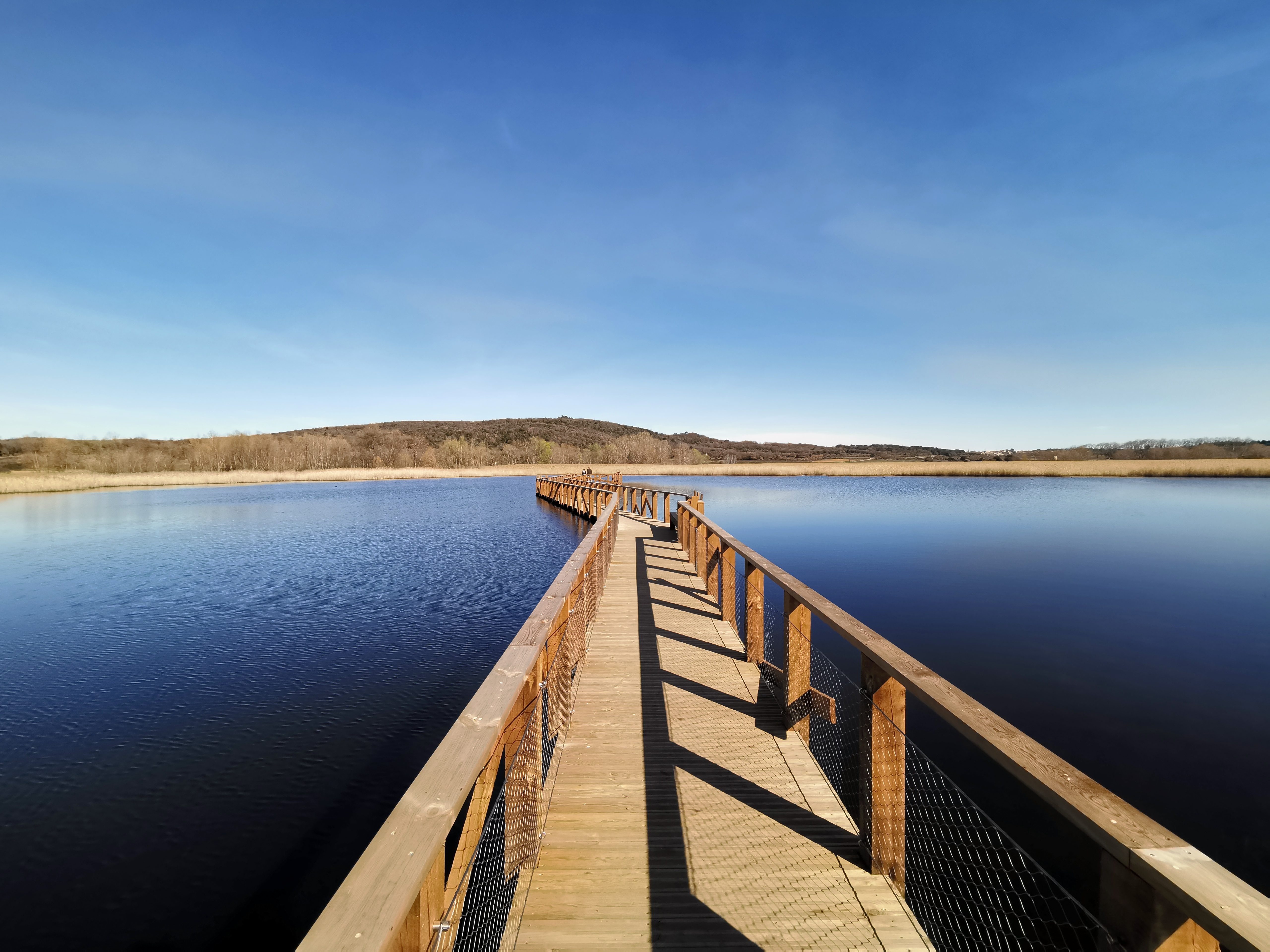 Etang de la Capelle