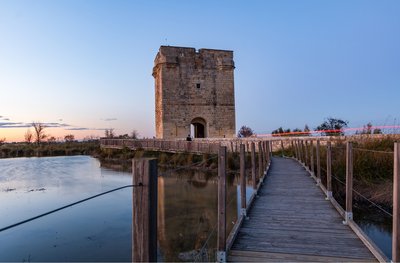 La Tour Carbonnière - Grand Site de France_Saint-Laurent-d'Aigouze