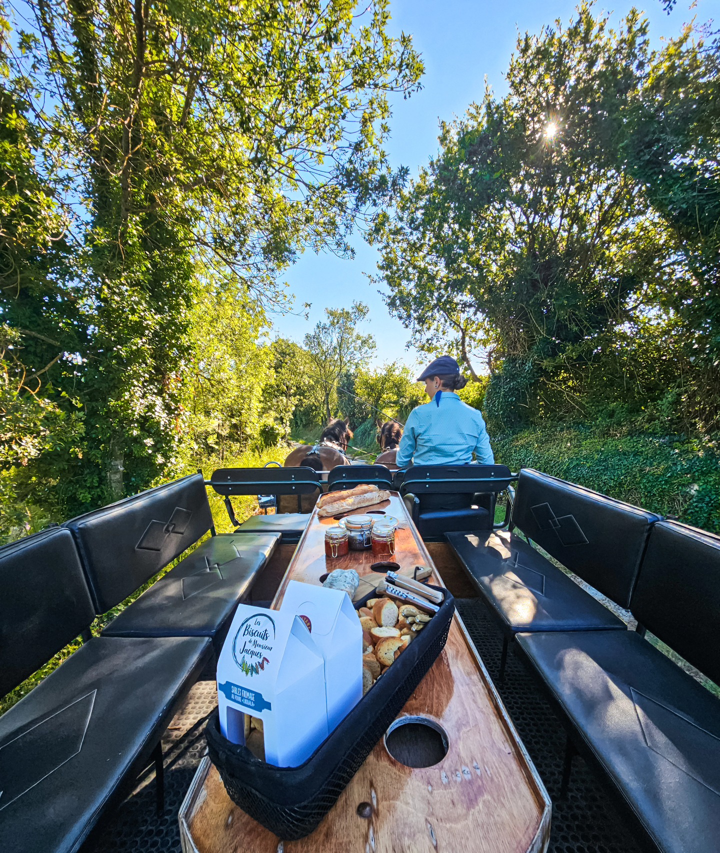 Dégustation en calèche