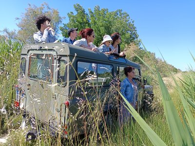 Safari Karine Coeur de Camargue_Vauvert