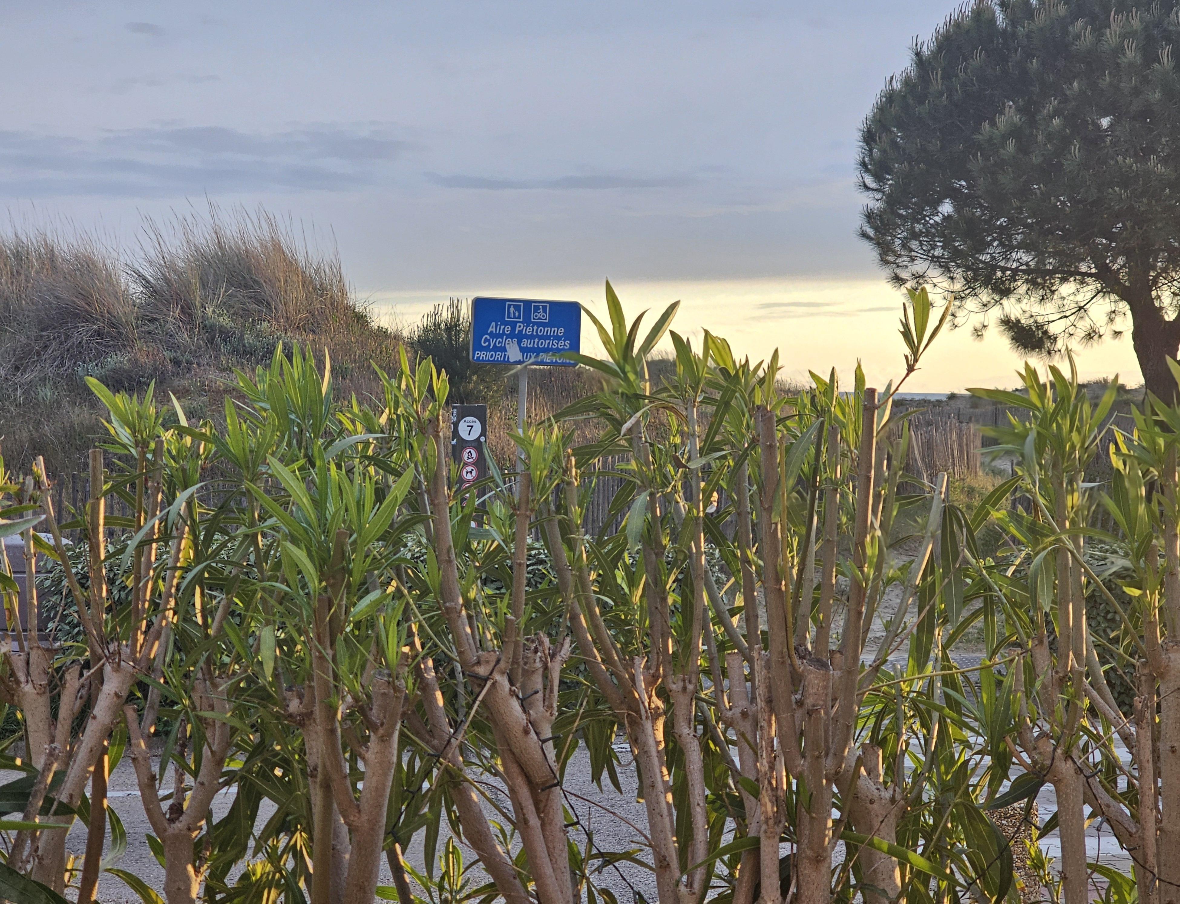 Altitude Zéro_Le Grau-du-Roi