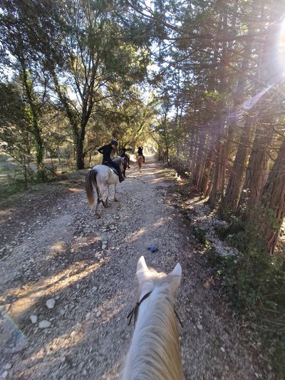 Cheval et cavaliers