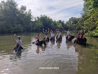 Chevaux et cavaliers dans l'eau