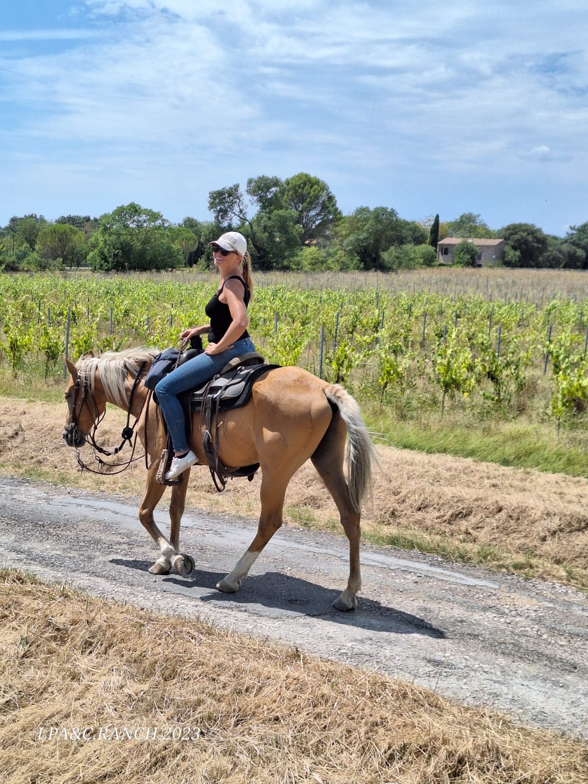 Cheval et cavalière