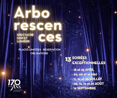 Nocturne à la Bambouseraie_Générargues