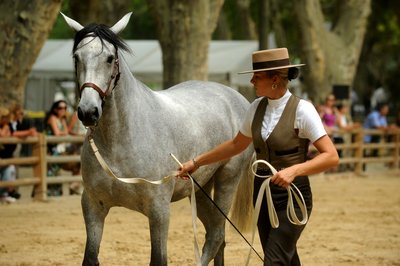 Les Rencontres Equestres
