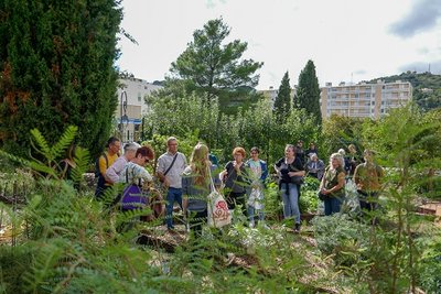 Atelier - Les plantes médicinales dépuratives_Alès