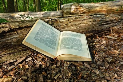 Book