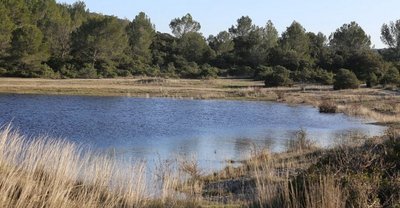 L'étang de Valliguières