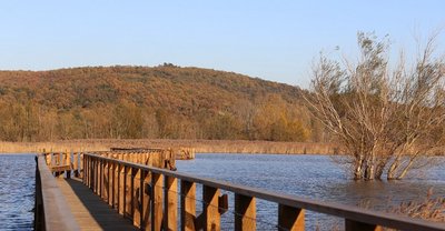 Passerelle au-dessus de l'étang de la Capelle et Masmolène