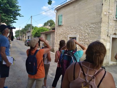 Balade - Hirondelles et martinets de la Réserve Naturelle