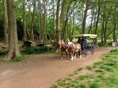 Animation enfants – L’énergie cheval à l’assaut des écrans_Uzès