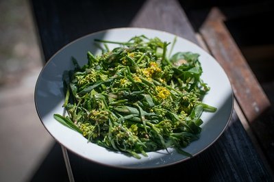 Balade - Plantes sauvages et cultivées_Anduze