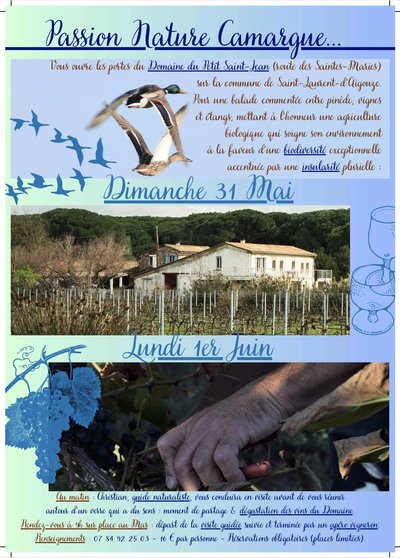 Biodiversité & Insularité au Domaine du Petit Saint-Jean