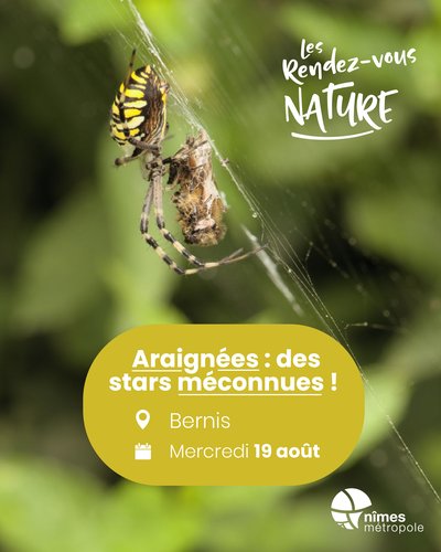 Affiche 2026
