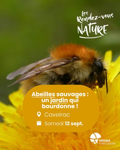 Affiche 2026