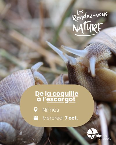 Affiche 2026