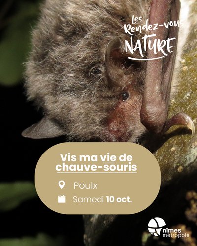 Affiche 2026