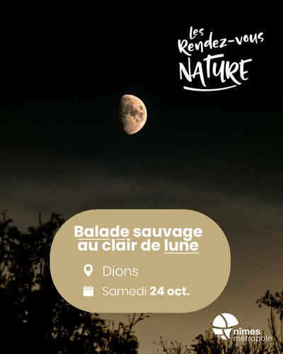 Affiche 2026