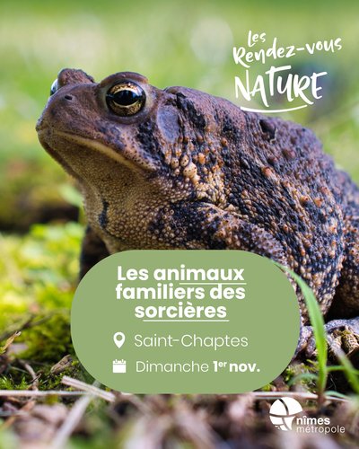 Affiche 2026