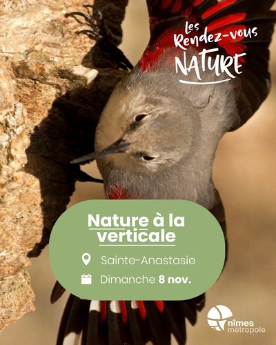 Affiche 2026