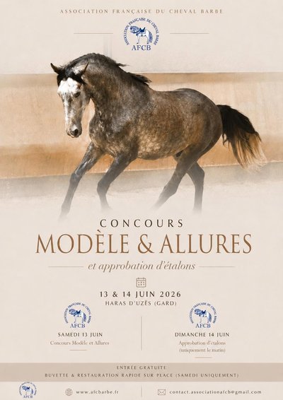 Concours au Haras - modèle et allures