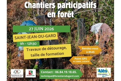 Les chantiers participatifs en forêt font leur grand retour !