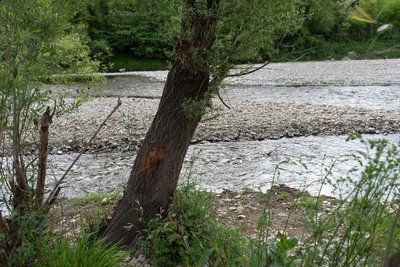 Une rivière au pied de mon immeuble
