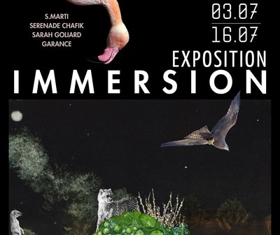 Immersion_Lasalle