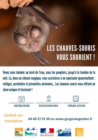 Sortie nature : Les chauves-souris vous sourient_Goudargues