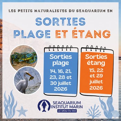 SORTIES PLAGE ET ETANG