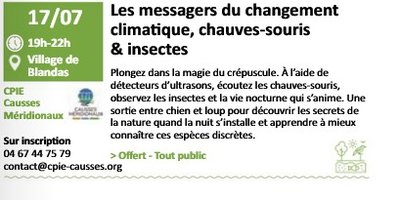 capture_d_ecran_2026-06-12_145022.jpg