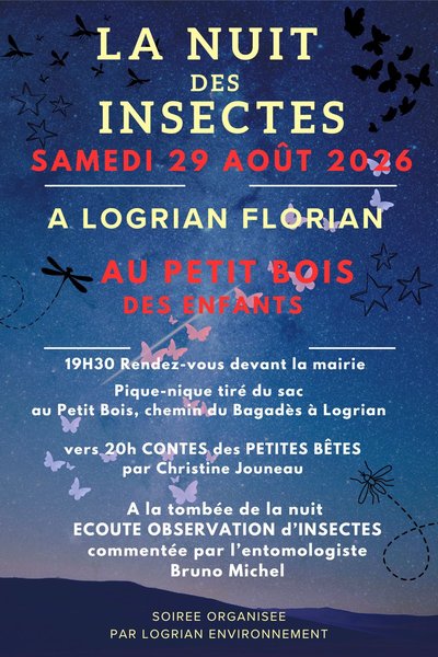 La nuit des insectes