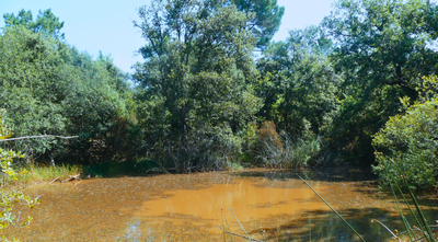Balade - Au royaume des mares_Saint-Victor-des-Oules