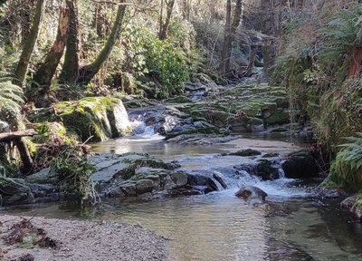 ruisseau