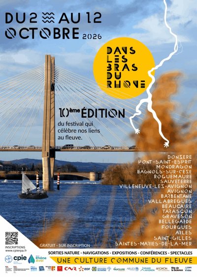Dans les Bras du Rhône à Vallabrègues