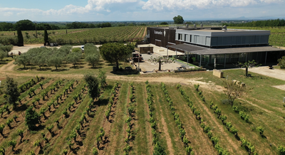Les Mercredis Nature au vignoble Scamandre_Vauvert