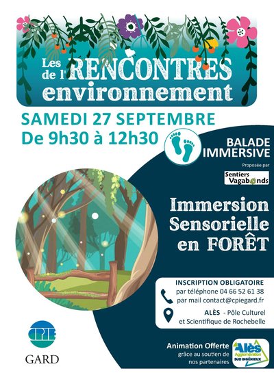 Immersion sensorielle en forêt