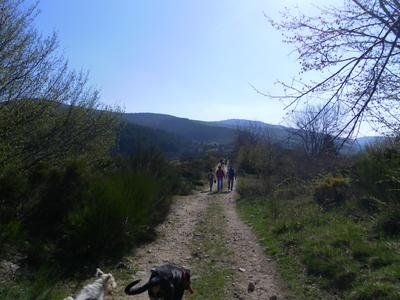 otmacc