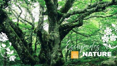 Escapades nature