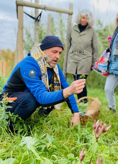 Balade botanique plantes sauvages médicinales, comestibles et toxiques_Calvisson