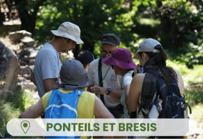 Sortie à la découverte des insectes pollinisateurs_Concoules