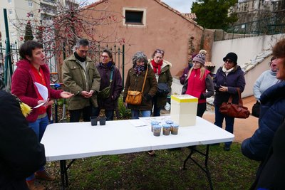 Atelier exploration du sol