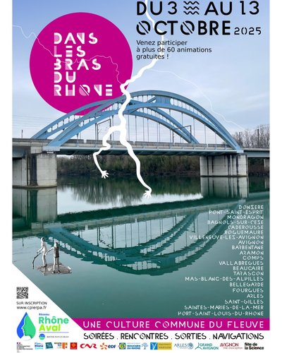 Dans les Bras du Rhône