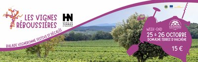 Vignes Réboussières au Domaine Terres d'Hachène_Saint-Nazaire-des-Gardies
