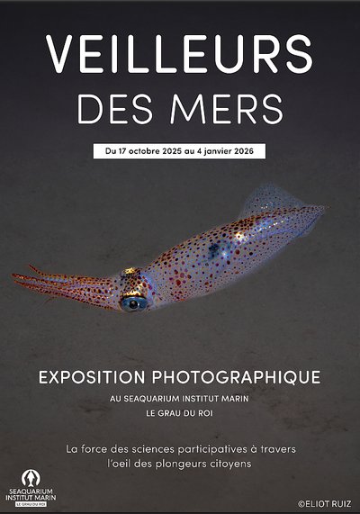 Exposition "Veilleurs des mers"_Le Grau-du-Roi
