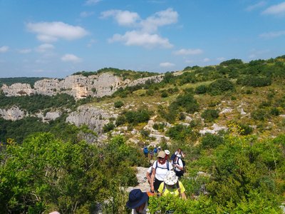 Balade à la découverte des plantes sauvages comestibles à l'ermitage de Collias